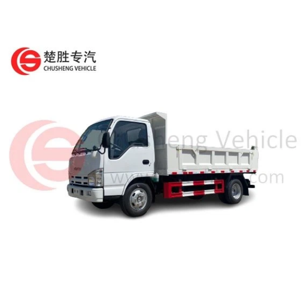 cami&oacute;n volquete