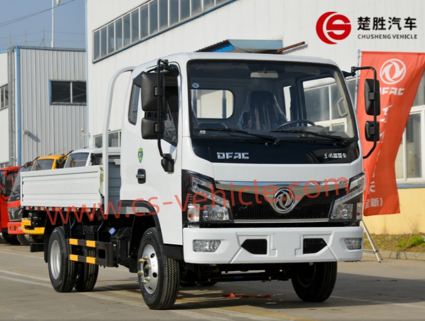 Cami&oacute;n con plataforma abatible Dongfeng-6